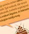 infografika